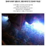 깐 간장새우 역삼점 맛있는 새<b>우장</b>