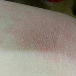 [EXO] 약간<b>혐오주</b>의)이거뭔지아는사람ㅜ