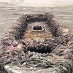 [공포베스트] 혐) 워싱턴 해안가에서 발견된 <b>쓰나미</b>의 잔해