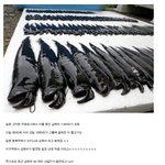 [짤북] <b>열도</b>에서 잡힌 심해어.jpg