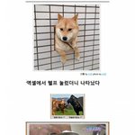 [콜로라도] 열도의 제목학원 <b>우수</b>작 2편