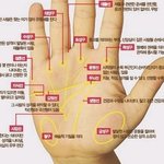 재미로 <b>손금</b>보시는분들 참고하세요