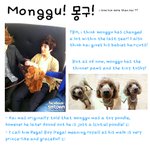 [몽구] 해외팬의 몽짱짱 <b>구별법</b>