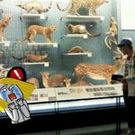 [EXO] <b>사슴</b>이 <b>사슴</b>을 만났네