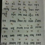 모기 <b>수집</b>.jpg