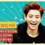 [EXO] 내일 저녁 4시 20분에 룸메이트 해요!