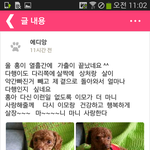 홍이 찾았다는 소식입니다.