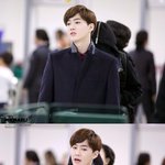 [EXO] 이사진어느팬페야?