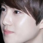 [EXO] 에그바그데스요?