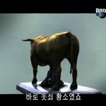 [공미니] 인간이 발명한 최초의 <b>잔인</b>한 살인기계