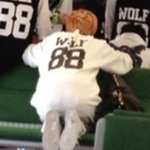 [루한] <b>다른</b> 루<b>판다</b> 짤들 ㅋㅋㅋㅋㅋㅋㅋㅋㅋ