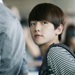 [EXO] 백현팬페는 솔직히 폴라가 <b>탑시드</b>