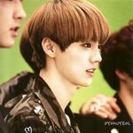 [EXO] 루한 요정짤은 이게 <b>진리</b>