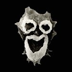 [공포베스트] 아메바의 모습