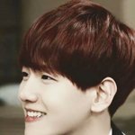 [EXO] 백현이<b>속쌍</b>있고어쩔때<b>쌍</b>테하는거모르는애가있네