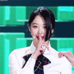 [EXO] 설리가 내 <b>워너비임</b> ㅋㅋㅋ