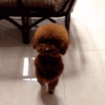 [EXO] <b>헤이</b>거기