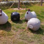 [신천지어린] 신천지 어린이날, 부산 <b>시민</b>공원 나들이