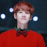 [EXO] 백현아 생일 축하해
