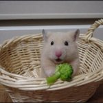 [팬픽] 아까 플라스틱 아일랜드 추천ㅜㅜ