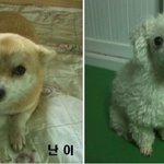 입<b>양자</b>로부터의 편지