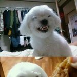 <b>치킨</b><b>배달</b>을 시켰을때.jpg