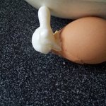 <b>계란</b>을 삶았더니.jpg