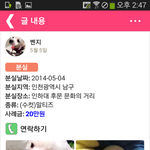 벤지를 찾습니다!