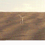 [<b>화성</b>생명체] [속보] <b>화성</b> 탐사선 생명체 발견