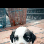 [EXO] ㅇㅊㅎ 존나 관<b>종년</b>임ㅋㅋㅋㅋㅋ