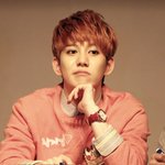 [블락비] 벌들재밌는<b>일화</b>없어?