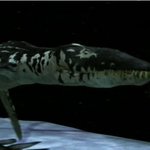 [공미니] 고생물들의 크기