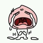 [EXO] 앨범사면 팬싸응모권 <b>주나</b>?