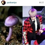[EXO] 좋아요가맞는거라고 ㅡㅡ