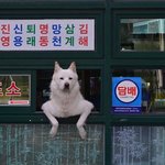 [노가리아] 매표소에 <b>취직</b>한 개