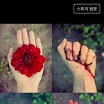 [여자의심리] 여자의심리가 궁금해서 올립니다.