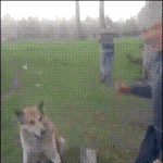 [쿠울] 사장님 이조건으로 하시죠.<b>gif</b>