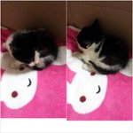 [박박박] 그래 그런 시절이 있었지!
