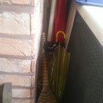 식당에 둥지 튼 <b>까치</b> 새끼 어떡하나요?