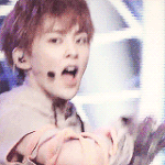 [EXO] 정말 진지하게 단콘하는날 치킨살께 ㅋㅋㅋㅋㅋㅋㅋㅋ
