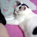 [용배꾸르밍] <b>대두</b>김용배의 사계절은 오직 봄봄봄 !