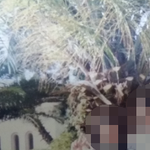 [다이어트] 사진有 / 161cm  75kg->50kg  새로태어났죠ㅋㅋ