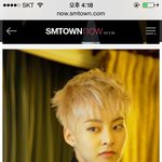 [EXO] 시우민 외모<b>분석</b>