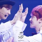 [EXO] 갠적으로 <b>월광</b>