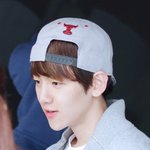 [EXO] 맞어월광개좋아진심아존나좋아