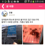 양재동 펫쇼에 다녀왔어요~!