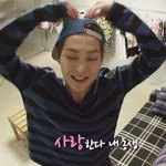 [EXO] 미안한데 알려<b>주</b><b>셈</b>
