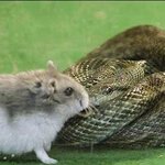 [추억파리여] (깜놀)우리는 친구<b>사이</b>!!