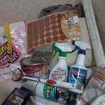 [ㅇㅇ] 내가 오늘 다<b>이소</b>하고 홈플러스가서 뭐샀는지 공개