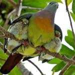 [짤북] 관제탑 <b>버드</b>미사일 발사 준비가 완료됐다.